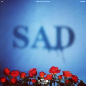 刘海瑞和苏晴送手机
