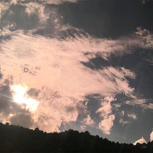 刘海瑞和苏晴送手机
