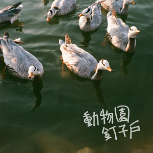 刘海瑞和苏晴送手机
