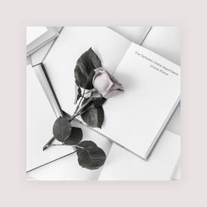 刘海瑞和苏晴送手机
